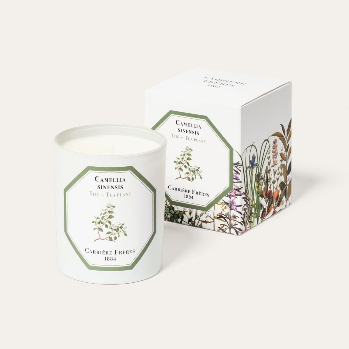 Tea plant Candle