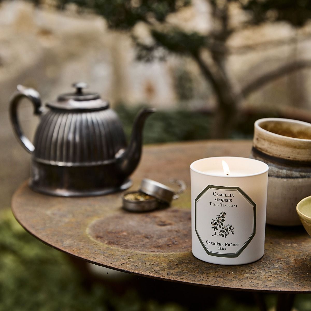 Tea Plant Candle