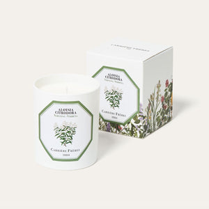 Verbena Candle