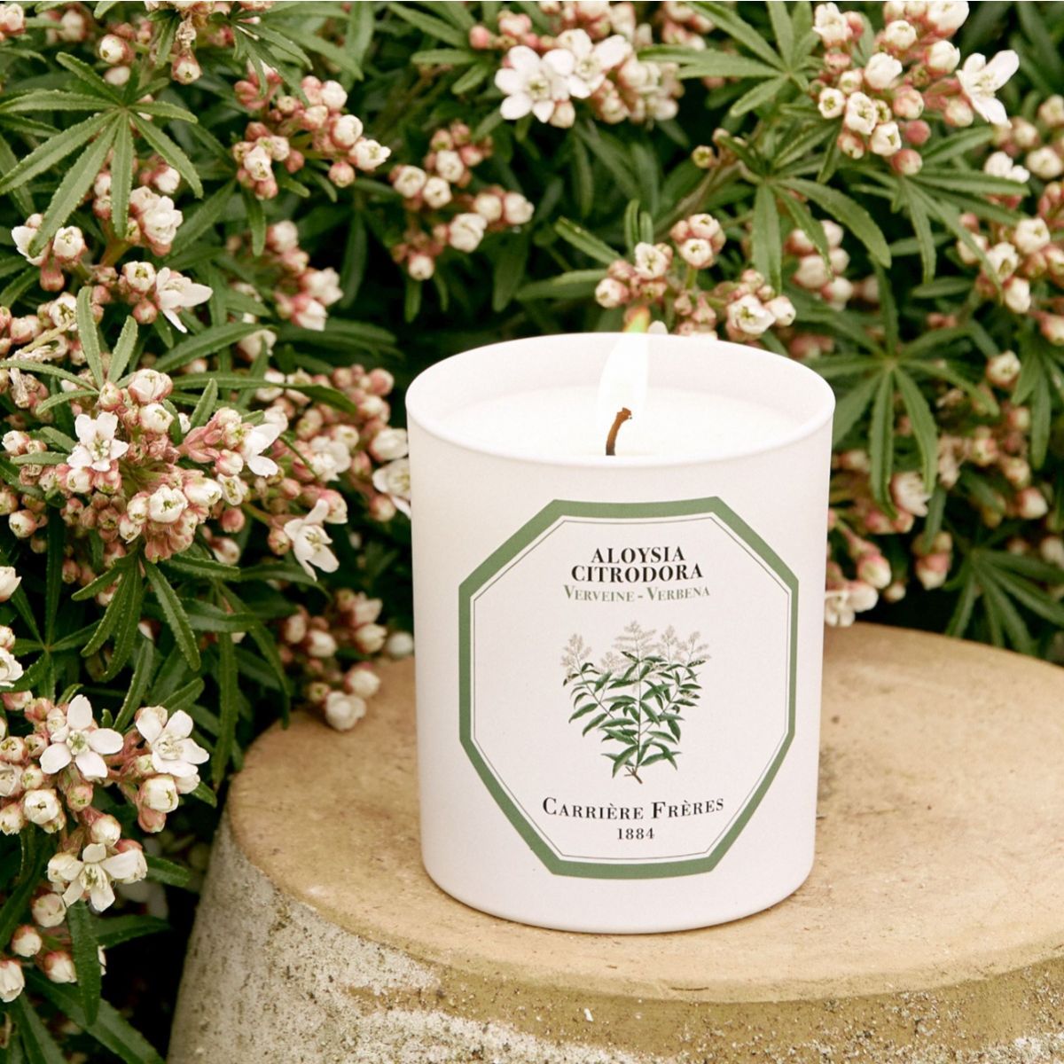 Verbena Candle