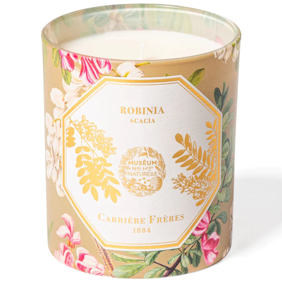 Acacia Candle -  Natural History Museum Edition