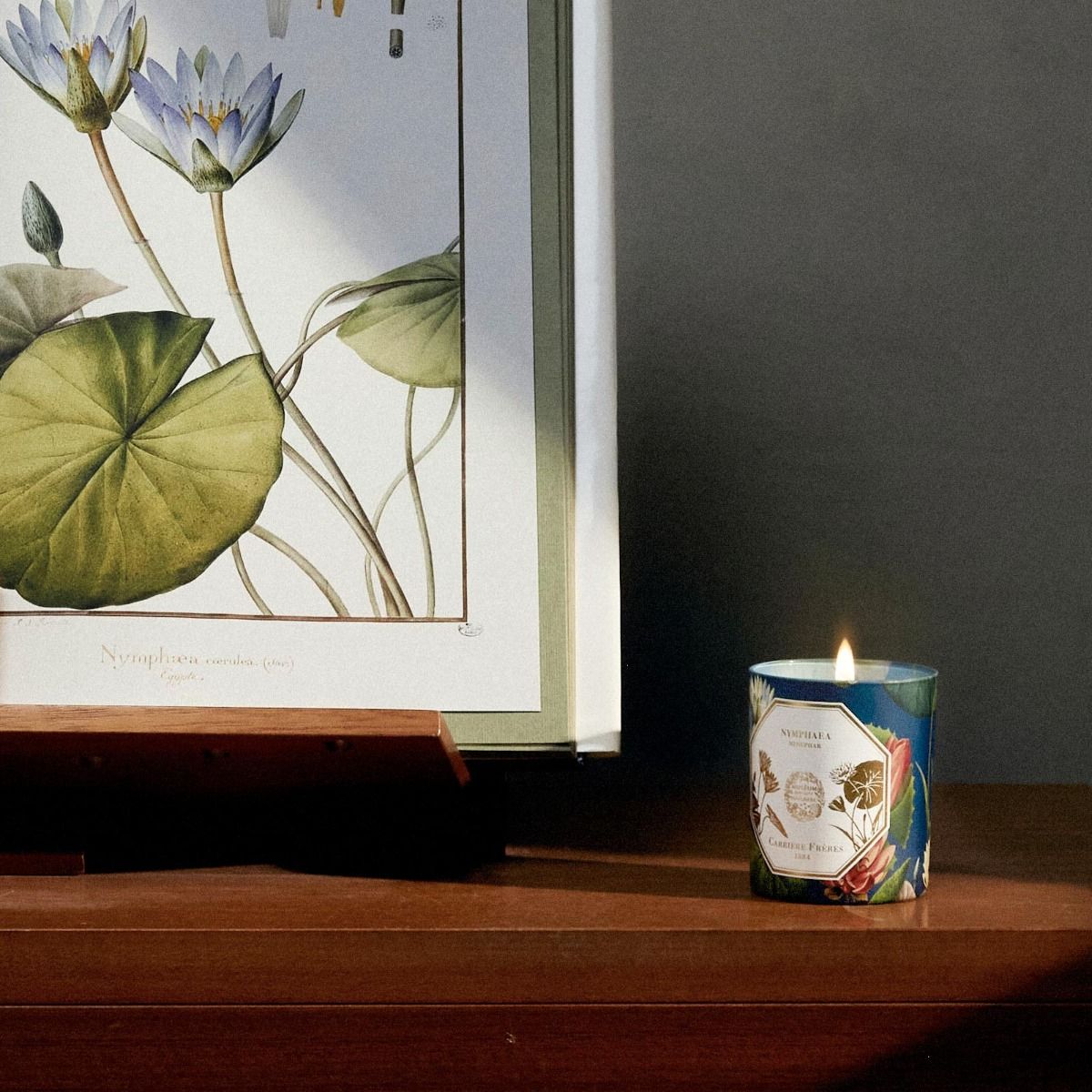 Waterlily Candle -  Natural History Museum Edition