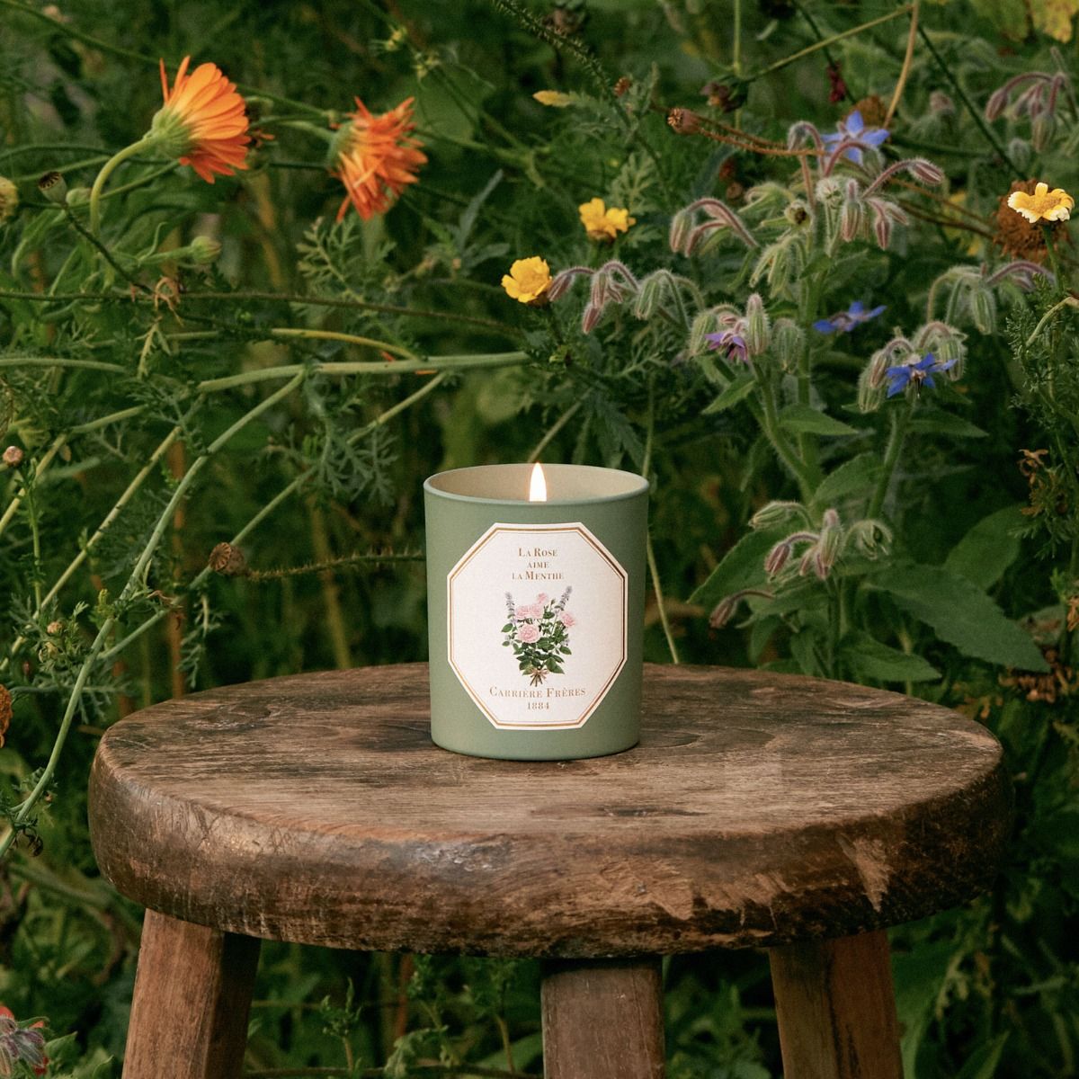 Rose and Spearmint Candle - Special Edition Candle