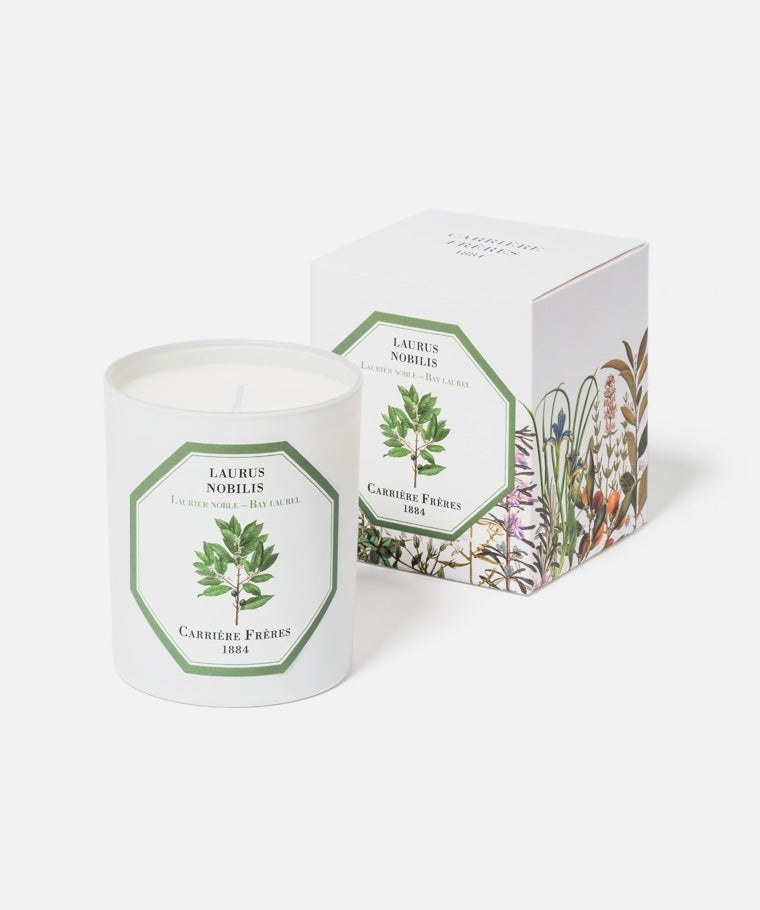 Bay Laurel Candle