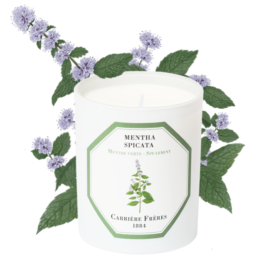 Spearmint Candle