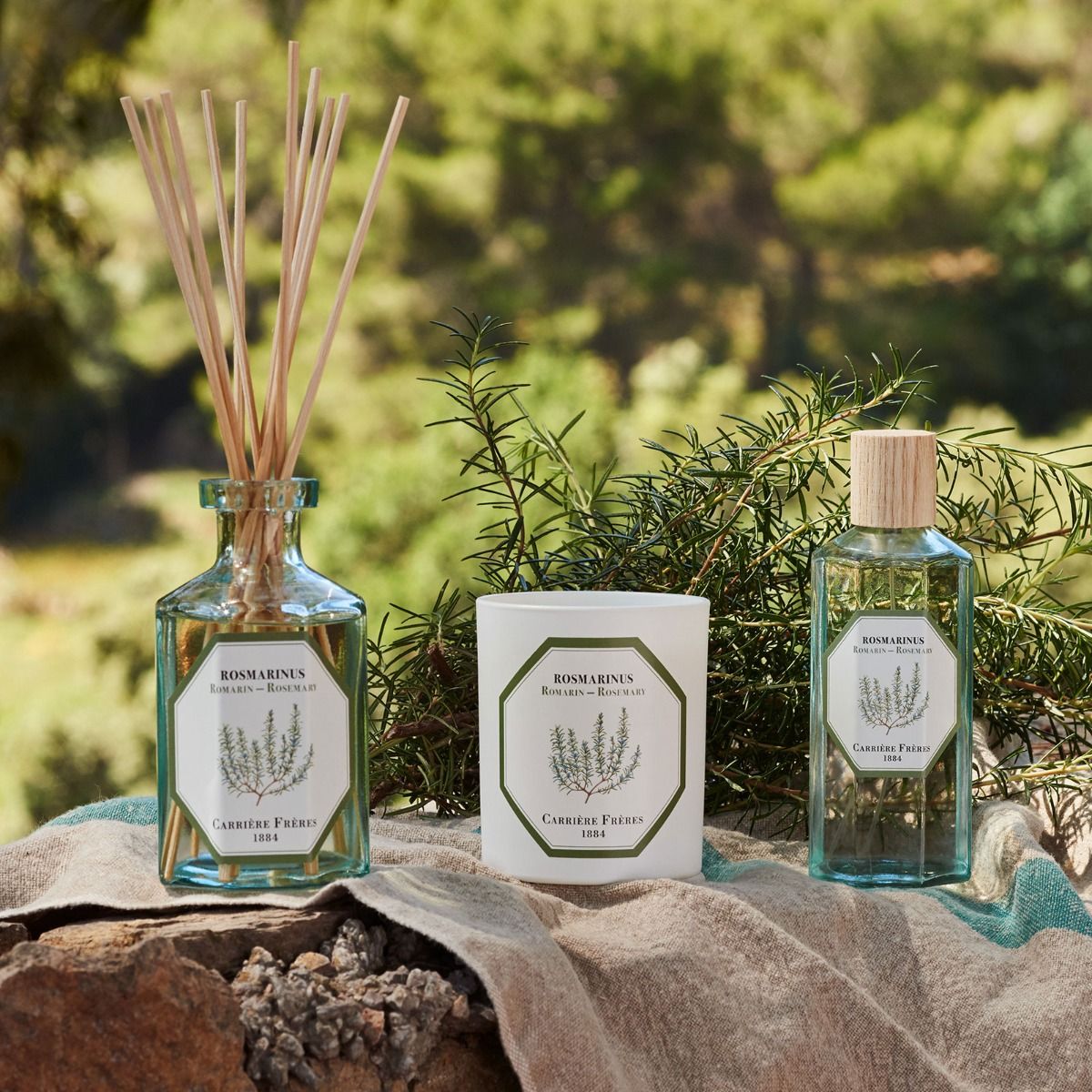 Rosemary Diffuser