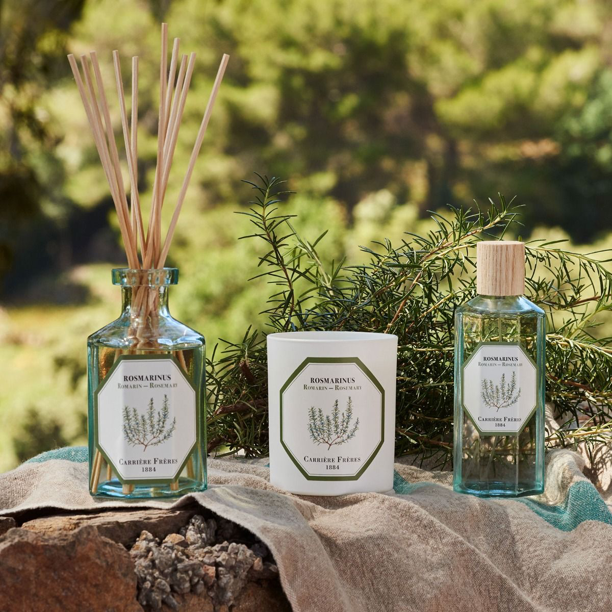 Rosemary Diffuser
