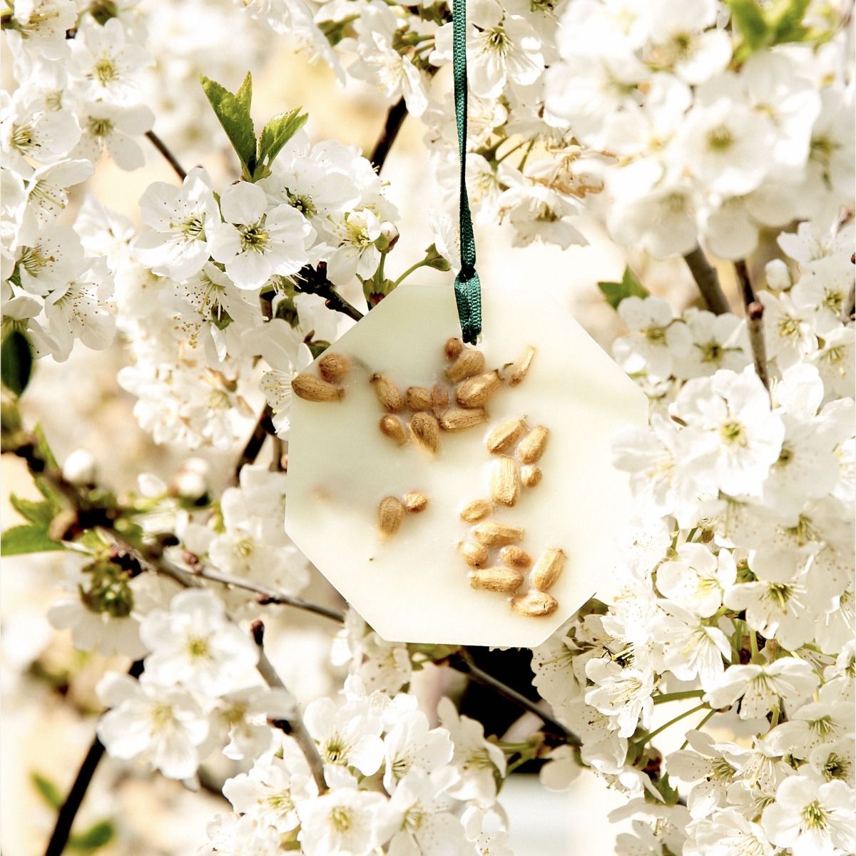 Orange Blossom Botanical Palet