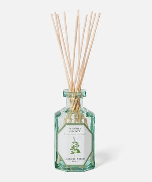 Spearmint Diffuser