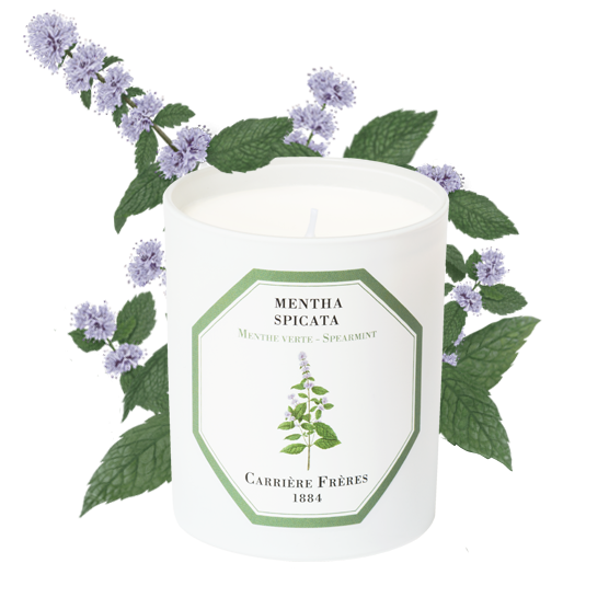 Spearmint- Carriere Frères Candle
