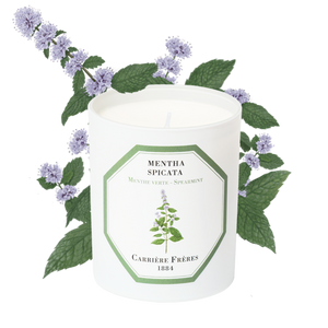 Spearmint- Carriere Frères Candle