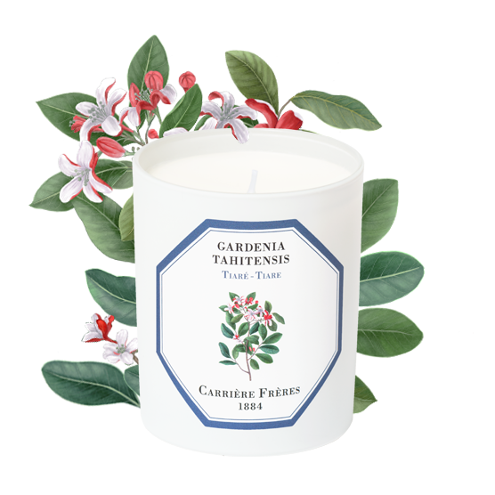 Tiare- Carriere Frères Candle