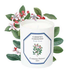 Tiare- Carriere Frères Candle