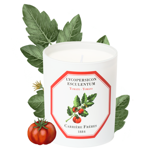 Tomato- Carriere Frères Candle